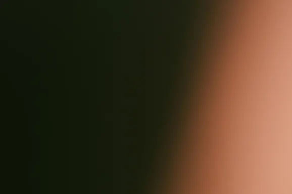 Bet Casino Stuðningur